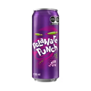 Delaware Punch 355 ml